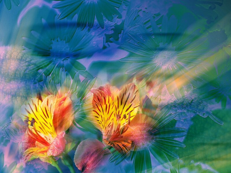 Abstract floral art with vibrant colors