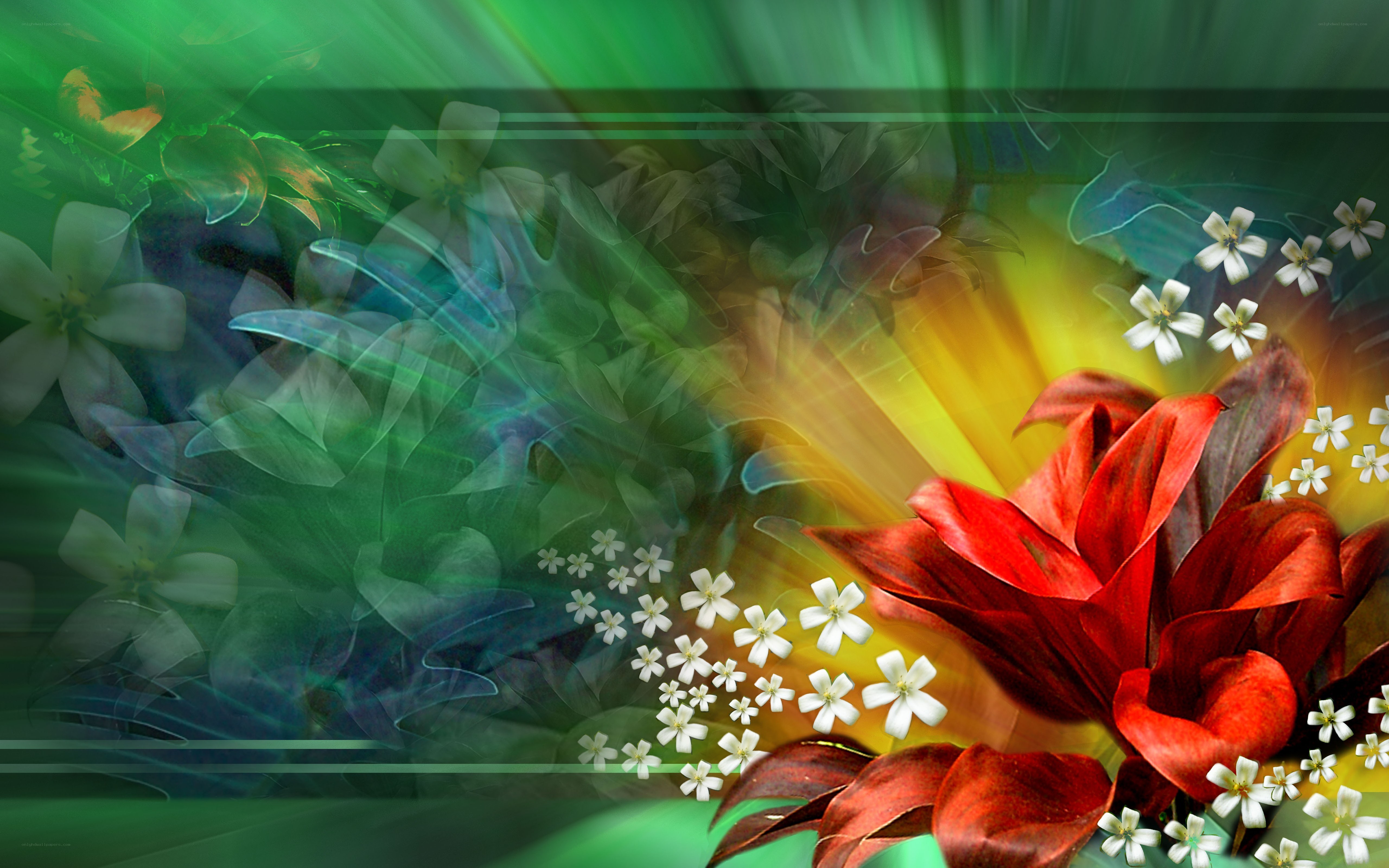 Abstract floral background with red and green