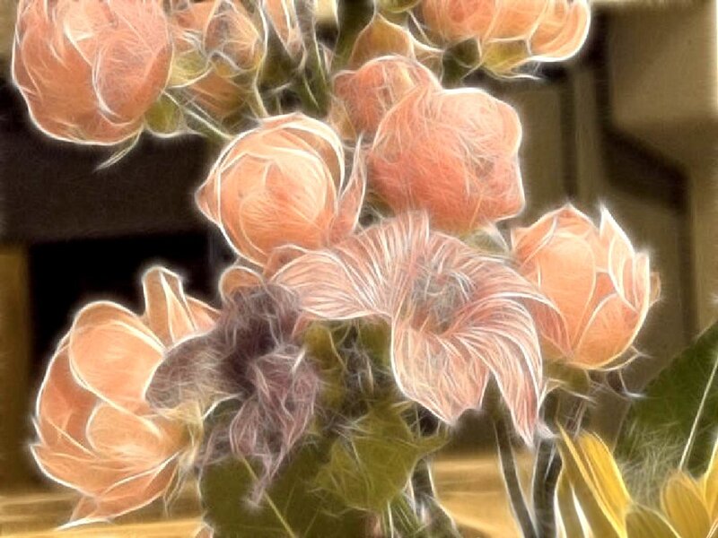abstract floral bouquet