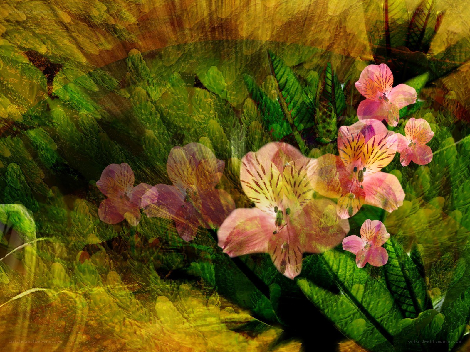 abstract floral composition