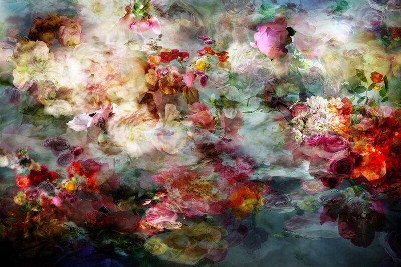 Abstract Floral Composition — Pink