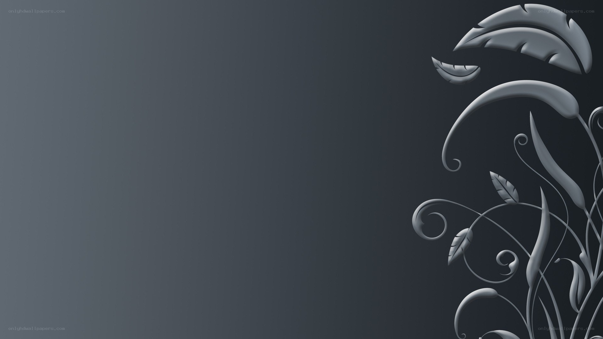 abstract floral design on dark background
