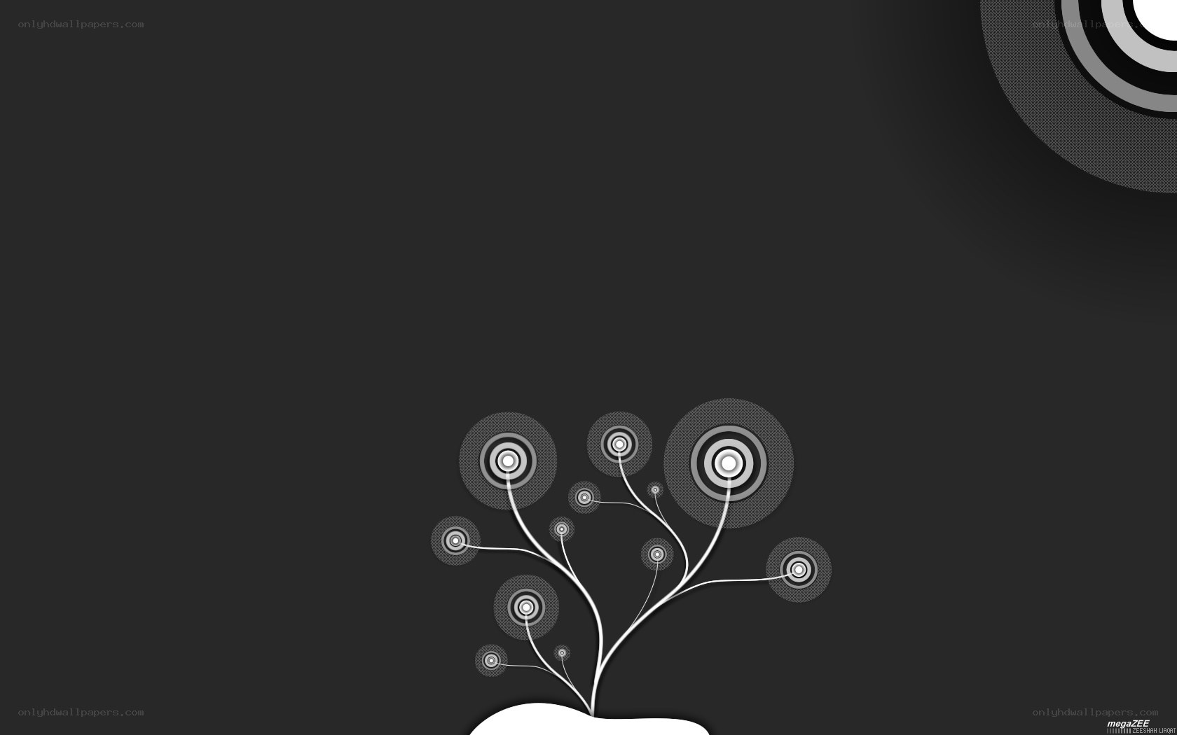 abstract floral design on dark background