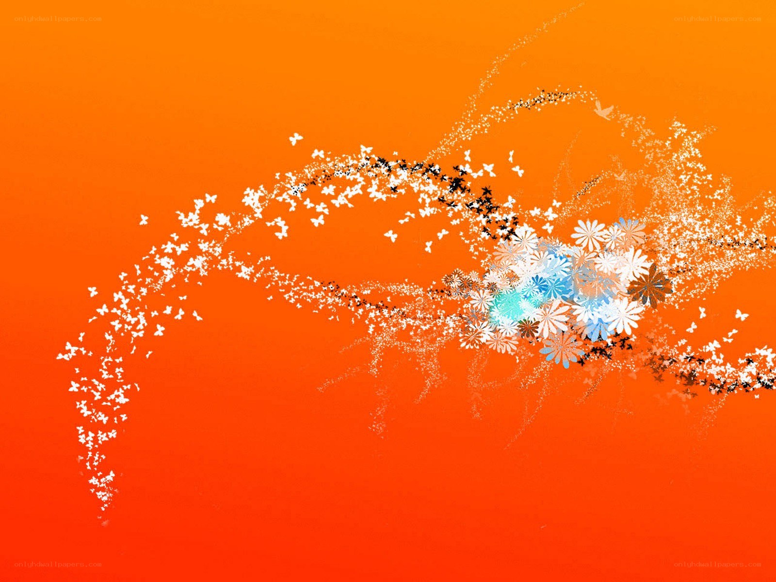 abstract floral design on orange