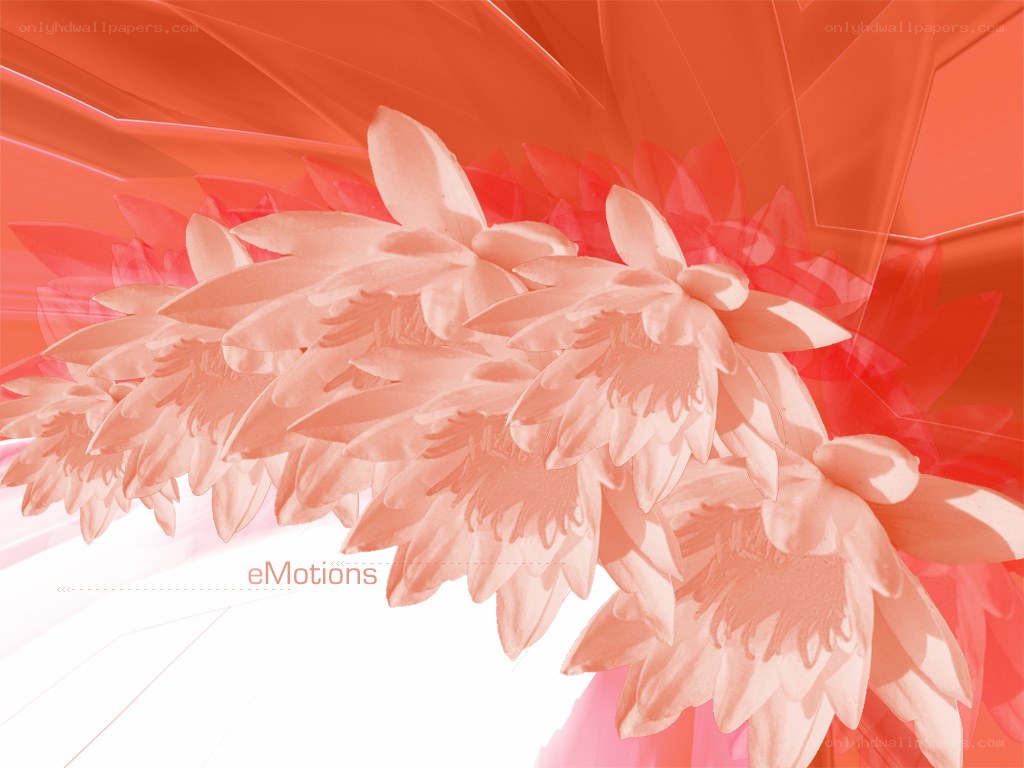 abstract floral design with eMotions text