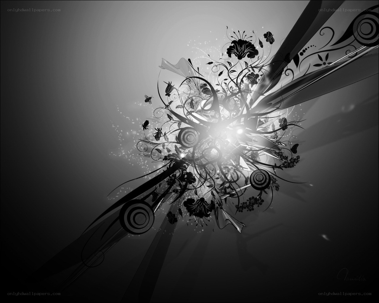 abstract floral design with light burst