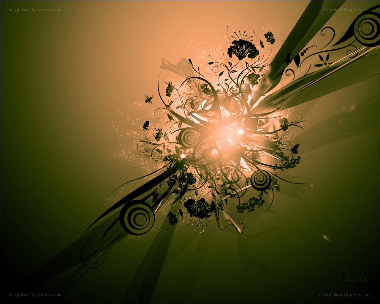 abstract floral design with light burst