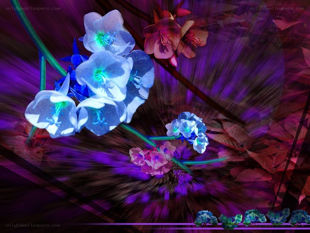Abstract floral digital art
