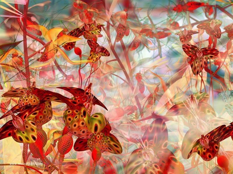 Abstract floral digital art
