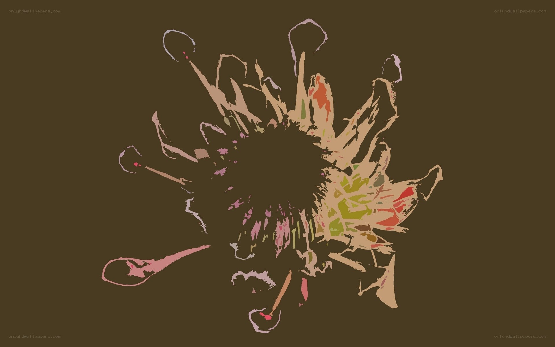 abstract floral explosion art