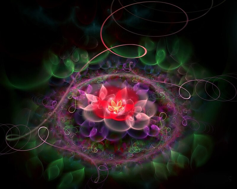 Abstract floral fractal art
