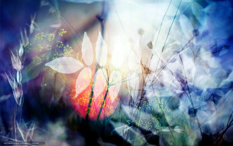 abstract floral light art