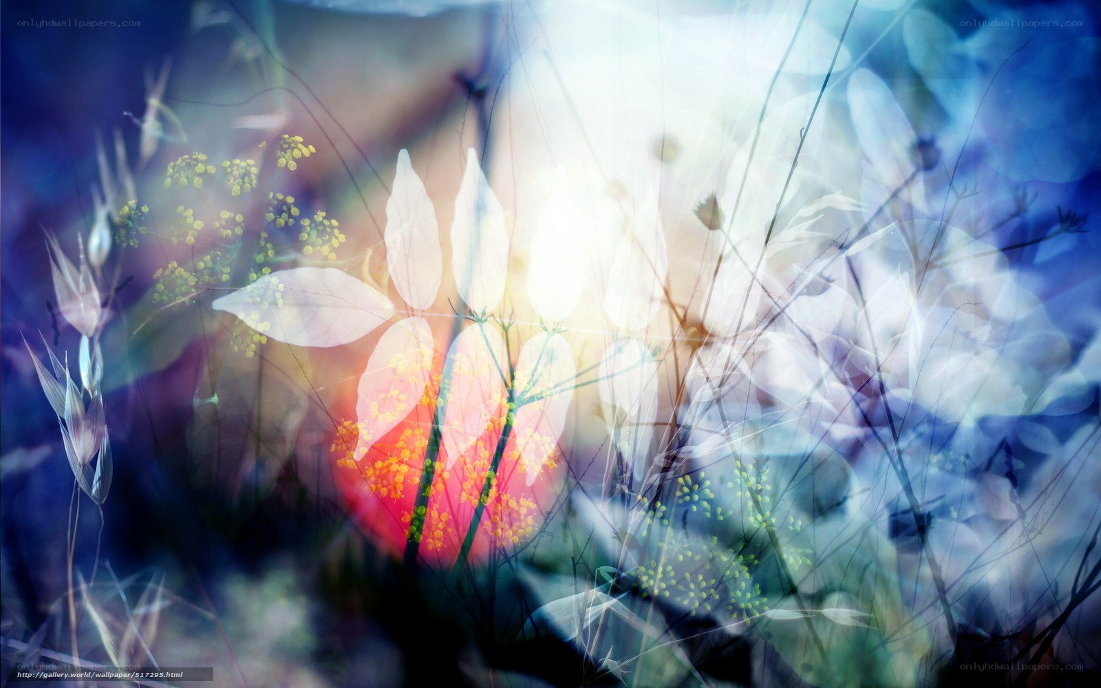 abstract floral light art