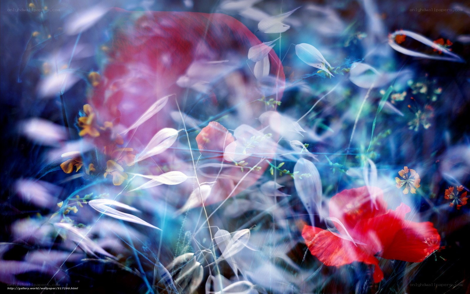 Abstract floral motion blur