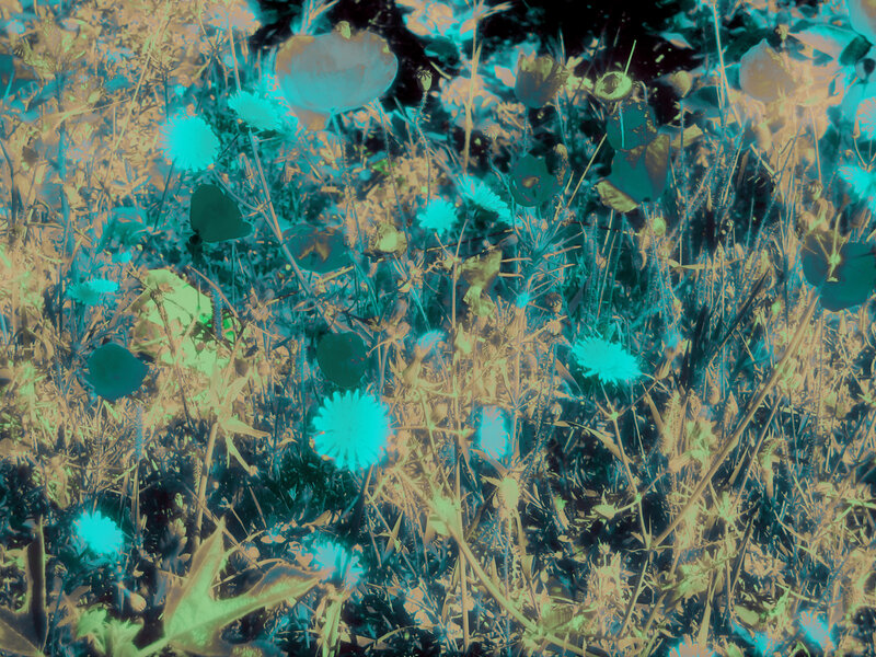 abstract floral pattern