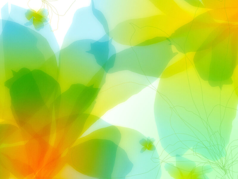 Abstract Floral Pattern — Green, Calm