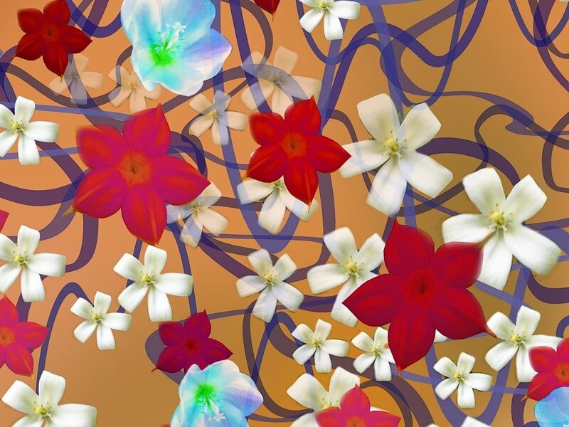 Abstract Floral Pattern — Orange