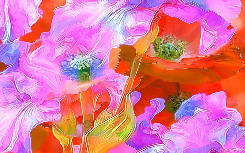 Abstract Floral Pattern — Pink, Vibrant, Digital Art, Flowers, Petals