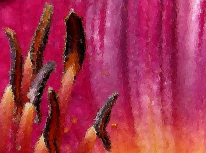 Abstract Floral Pattern — Pink, Vibrant, Digital Art