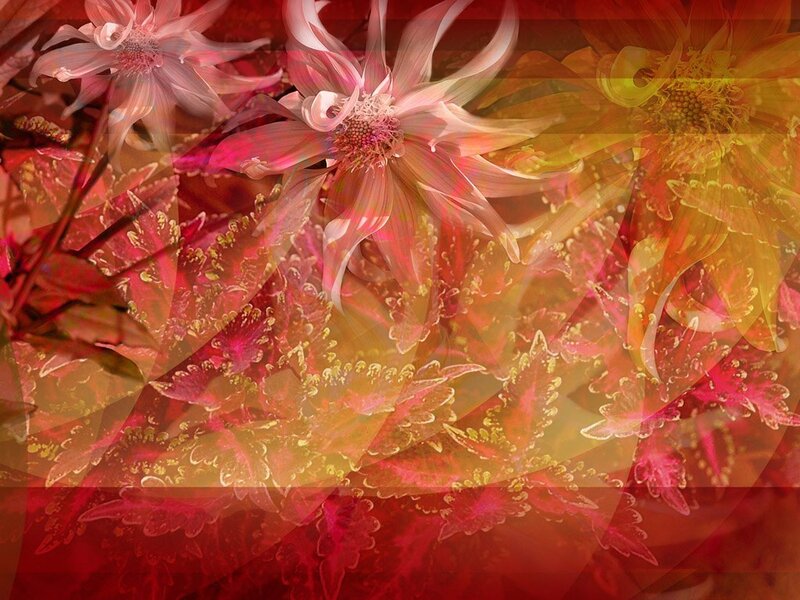 Abstract Floral Pattern — Red, Dreamy