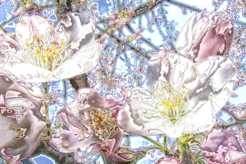 Abstract Floral Pattern — White, Dreamy, Digital Art