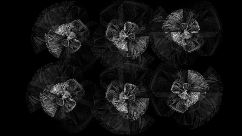 Abstract Floral Patterns — Black