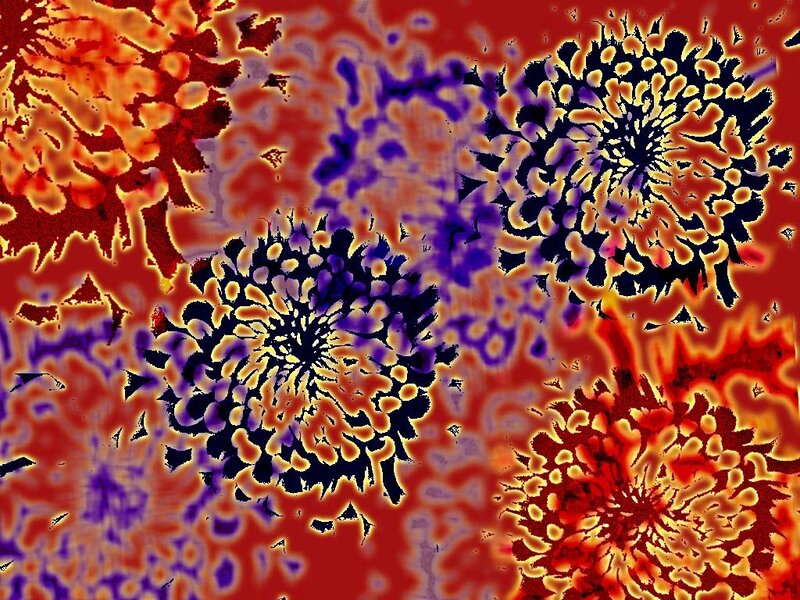 Abstract Floral Patterns