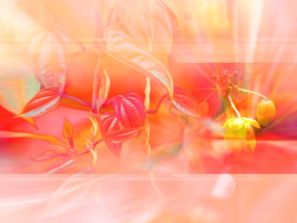 Abstract floral with warm light