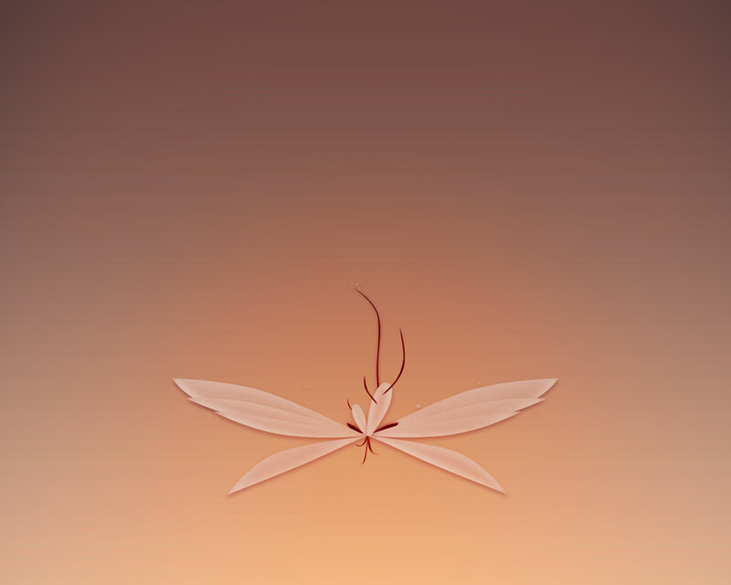 abstract flower design