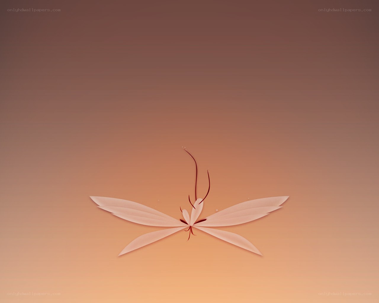 abstract flower design