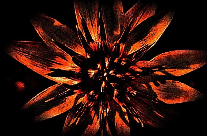 Abstract Flower Design — Orange