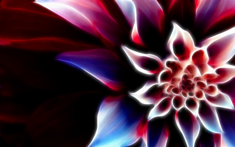 Abstract Flower Design — Red