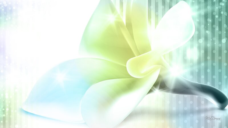 Abstract Flower Design — White