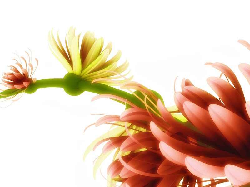 Abstract Flower Design — Yellow, Serene