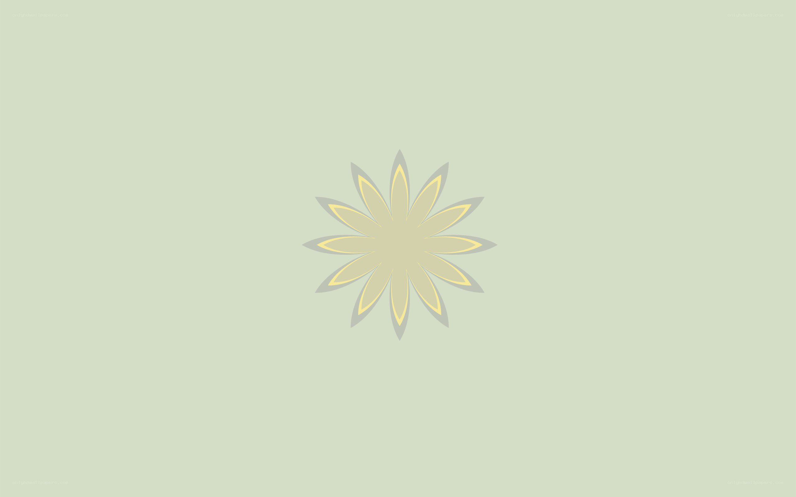 abstract flower design