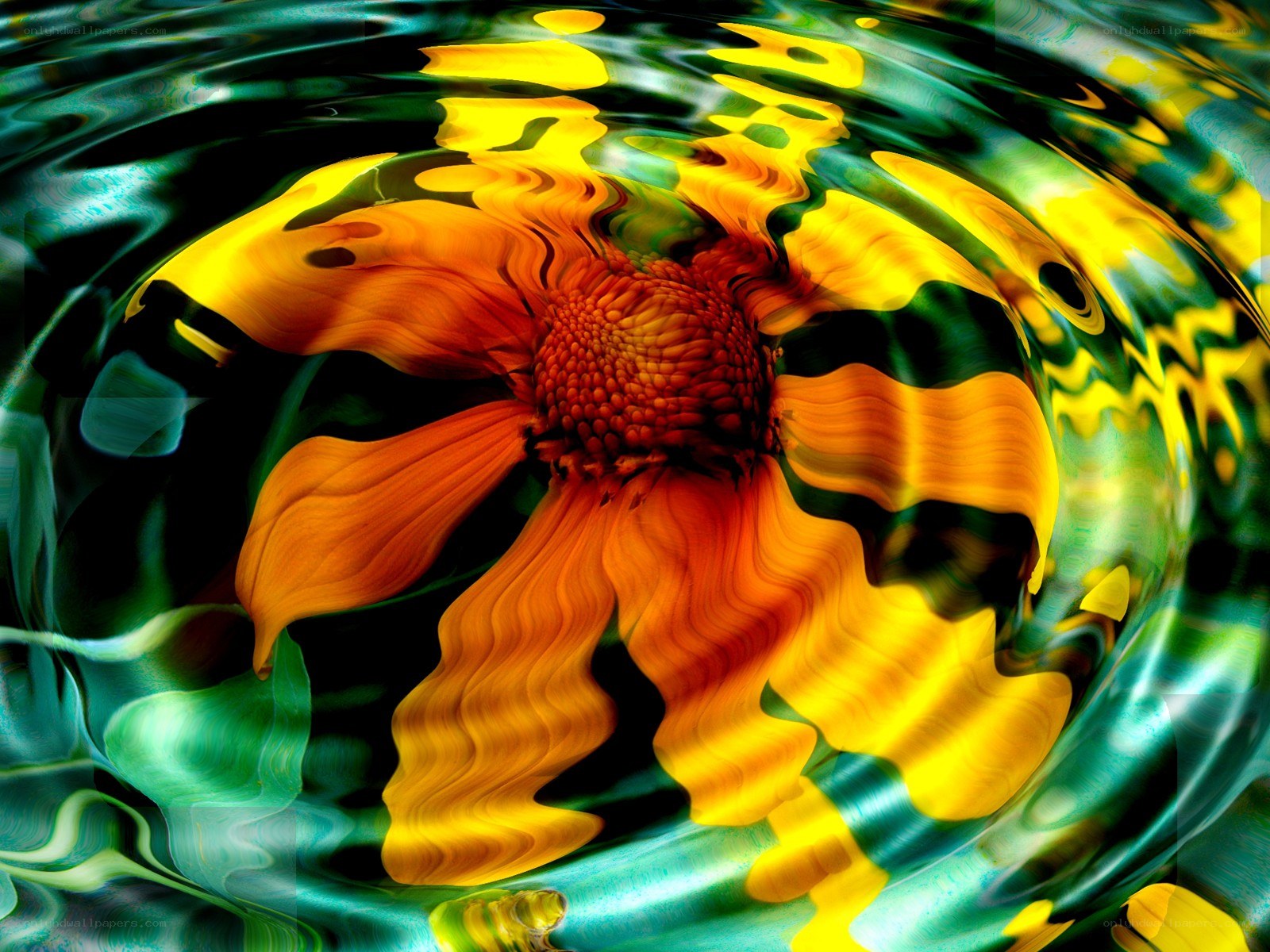 Abstract flower in water