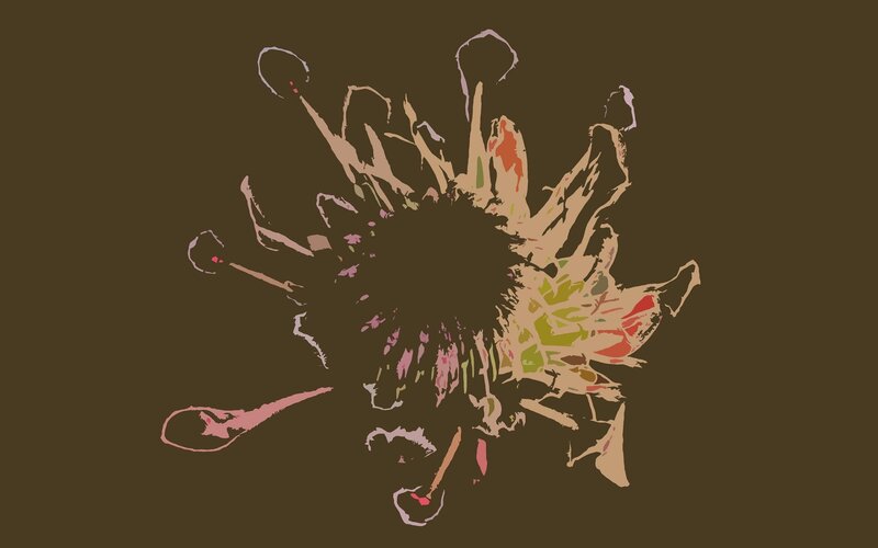 Abstract Flower-like Shape