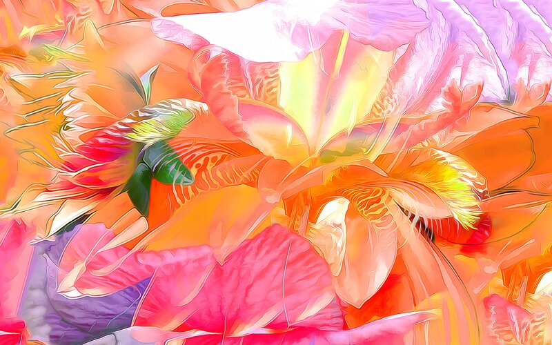 Abstract Flower Painting — Orange
