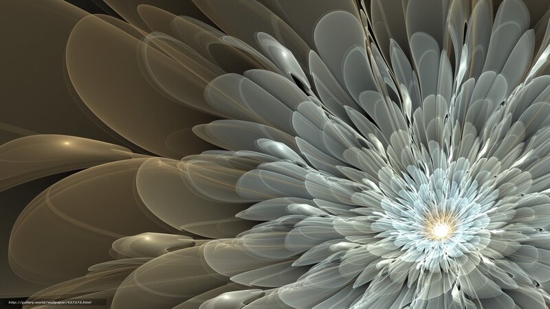 Abstract Flower Pattern — Gray