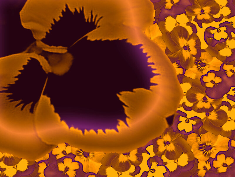 Abstract Flower Pattern — Orange