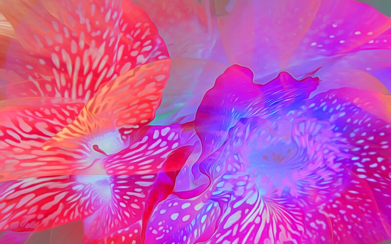 Abstract Flower Pattern — Pink, Vibrant, Digital Art