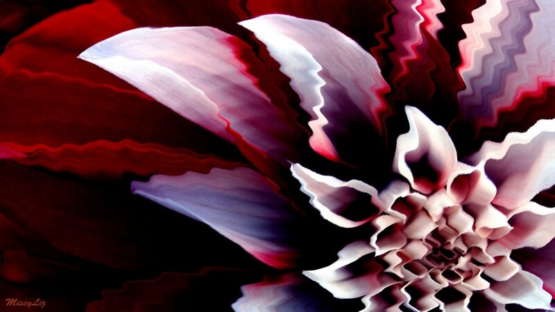 Abstract Flower Pattern — Red