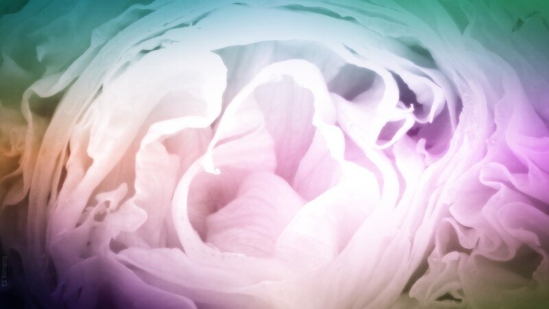 abstract flower petals
