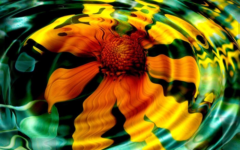 Abstract Flower Swirl — Yellow