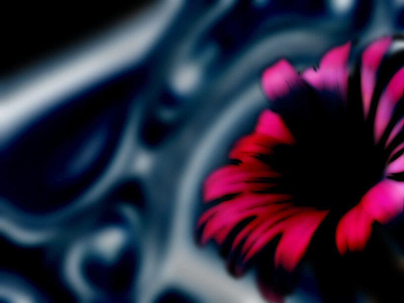 abstract flower with blue background