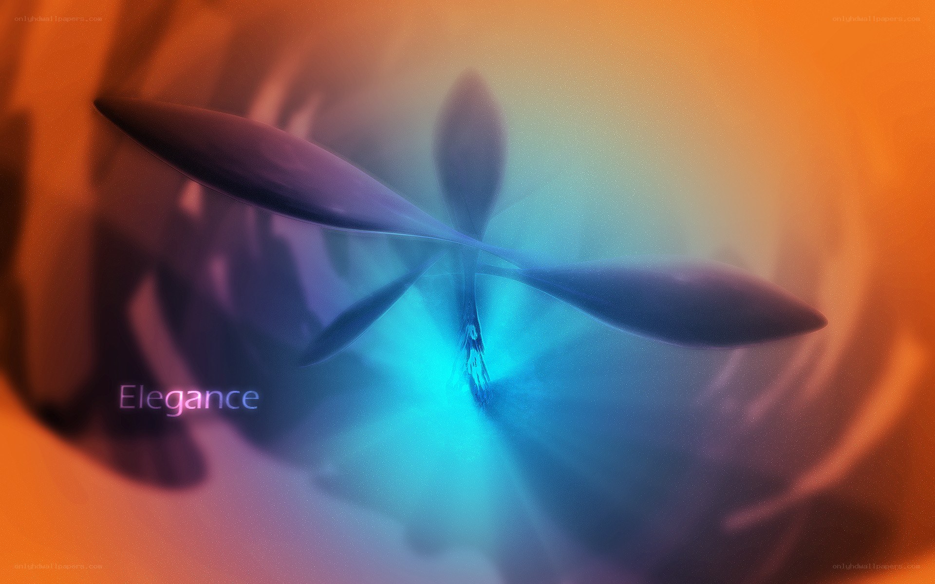 Abstract flower with glowing center