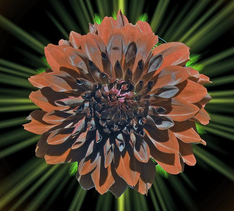 abstract flower with green rays