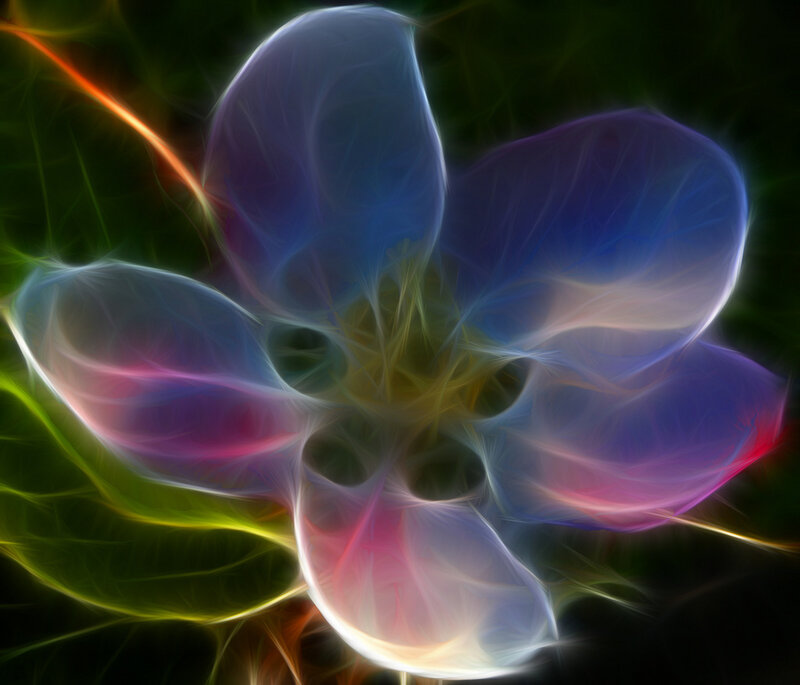 Abstract flower with vibrant colors
