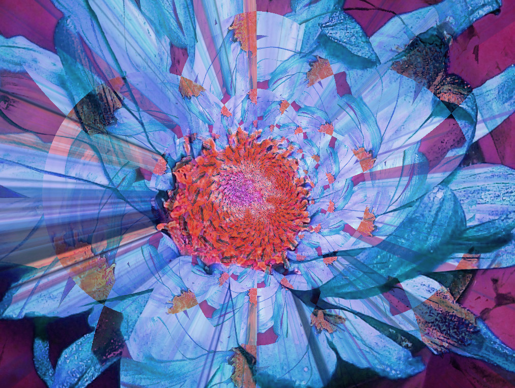 abstract flower with vibrant colors