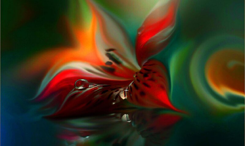 Abstract Flower with Water Droplets